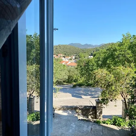 Apartment Luka *